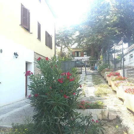 Oda ve Kahvaltı Andrea